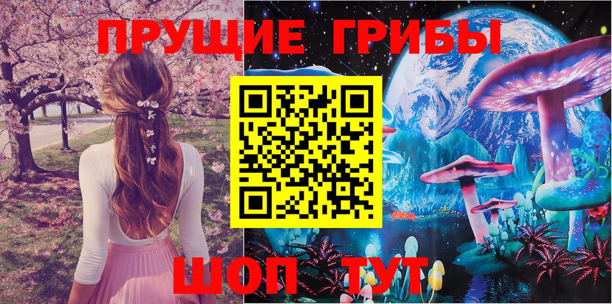 Псилоцибиновые грибы прущие грибы  Вход с VPN  Мегион 